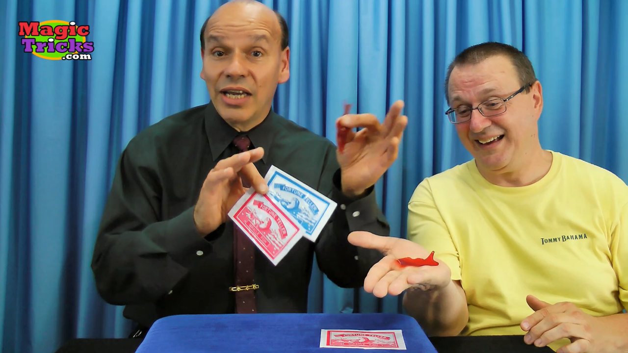 35 Magic Party Ideas | magic party, magic birthday party, magic birthday 35 Magic Party Ideas | magic party, magic birthday party, magic birthday