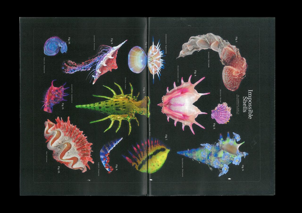 The Fundamental Guide To Impossible Shells on Behance The Fundamental Guide To Impossible Shells on Behance