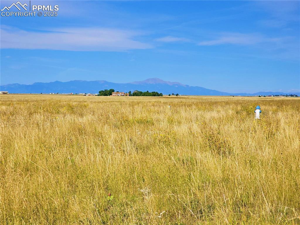 23712 Redtail Dr, For Sale in Colorado Springs - eXp Realty 23712 Redtail Dr, For Sale in Colorado Springs - eXp Realty