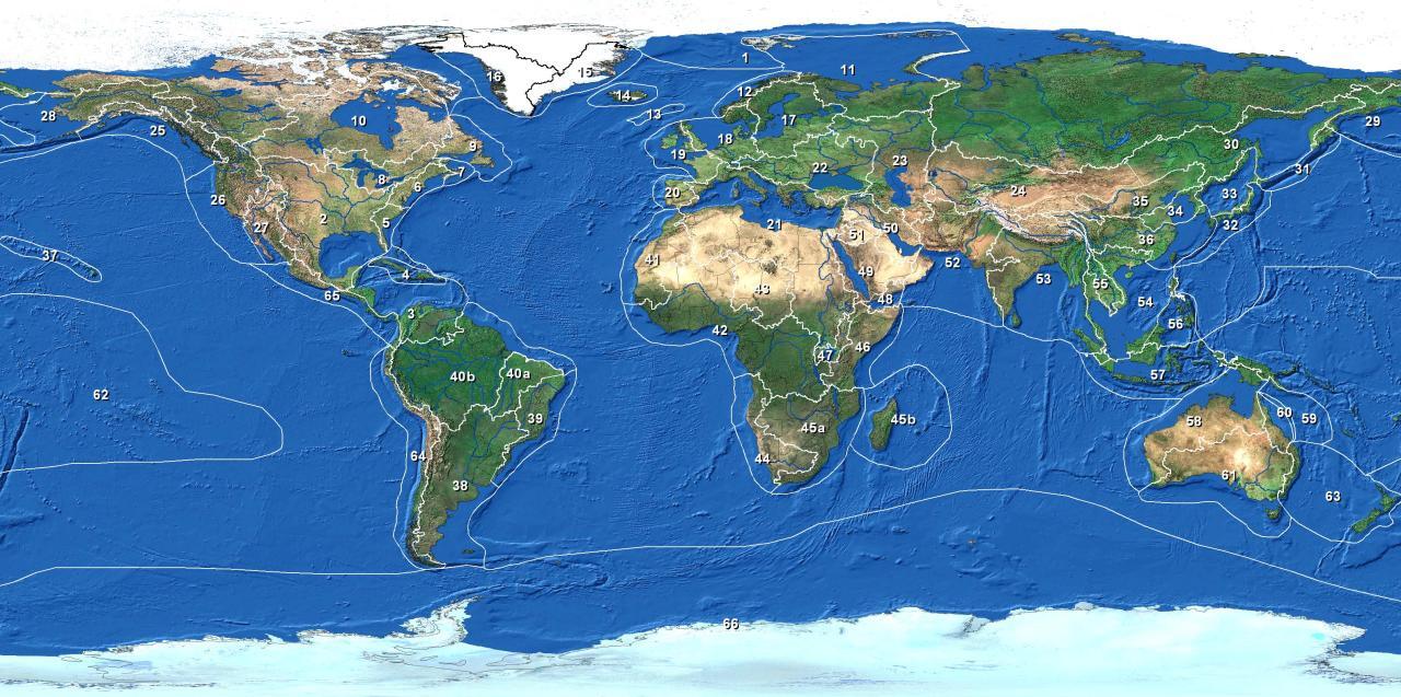 Marine Pollution Marine Pollution