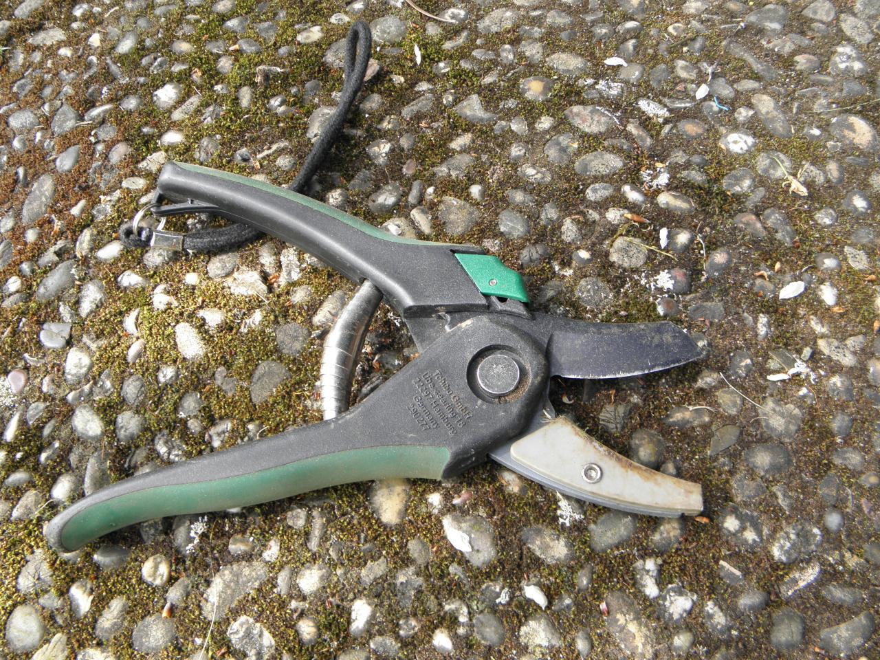 How to Cut to the Aces Like a Poker Pro